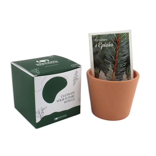 Cube plantation Ø7cm