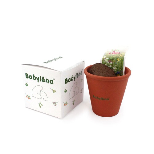 Cube plantation Ø10cm