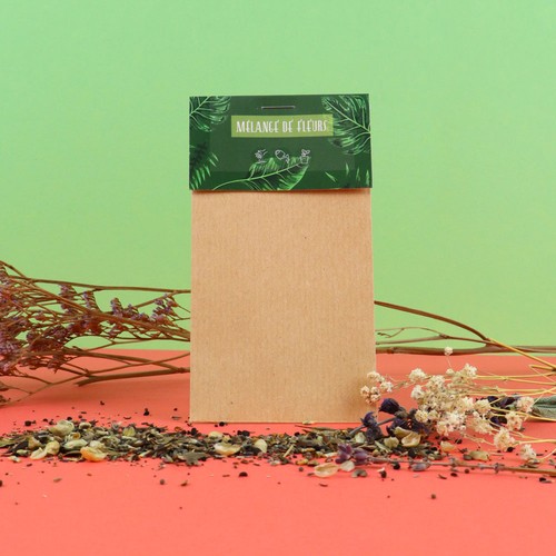 Sachet graines Kraft - Standard - 2