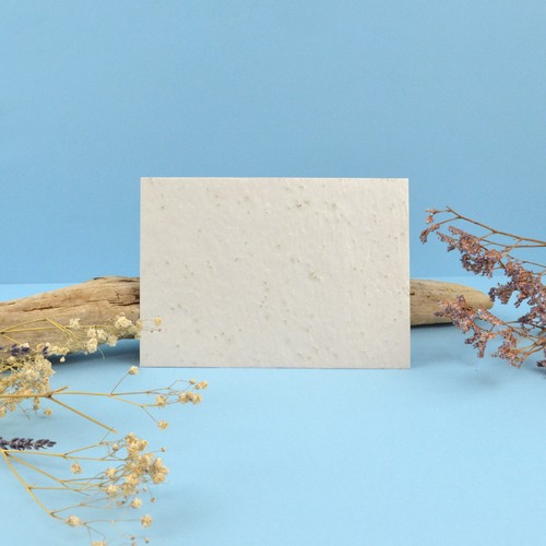 Enveloppe papier graines 162x114mm