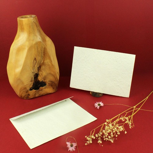 Enveloppe papier graines 220x156mm