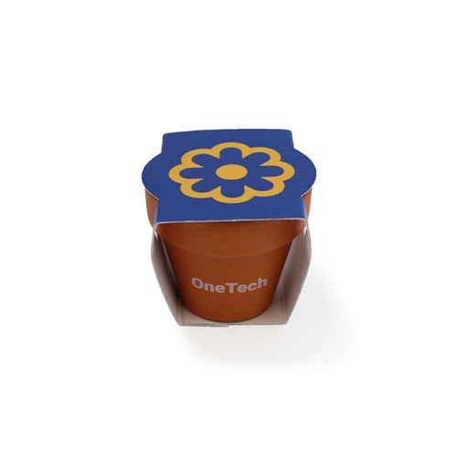 Kit plantation terre cuite Ø6cm - 2