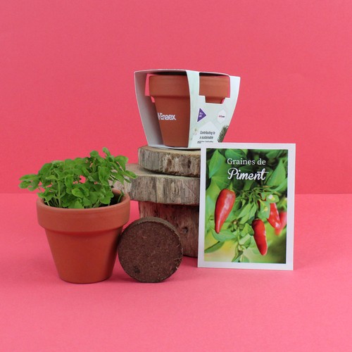 Kit plantation terre cuite Ø6cm - 1
