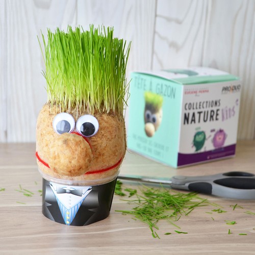 Tête en herbe en cube