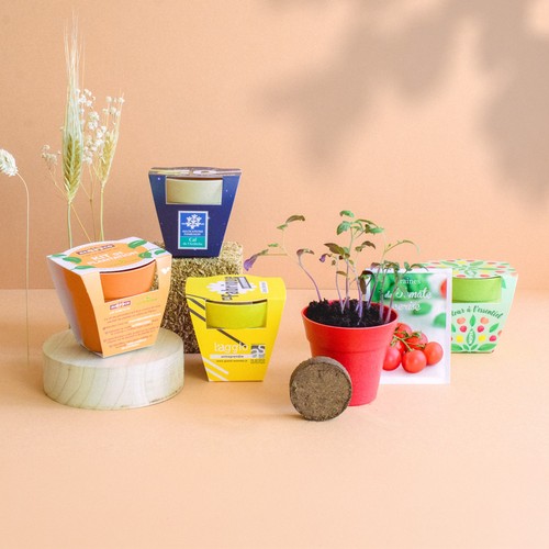 Kit plantation Pot Bambou