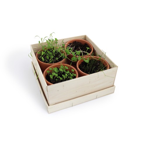Coffret Aromatique Bois