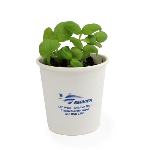 Kit plantation Pot Carton - 2
