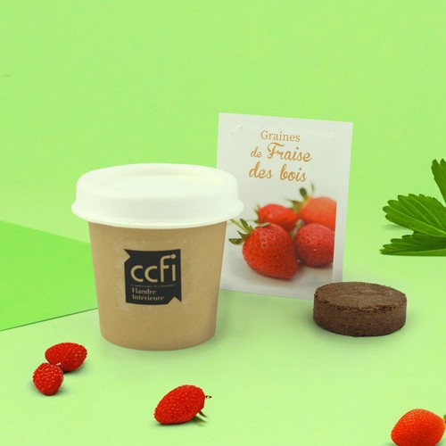 Kit plantation Pot Carton
