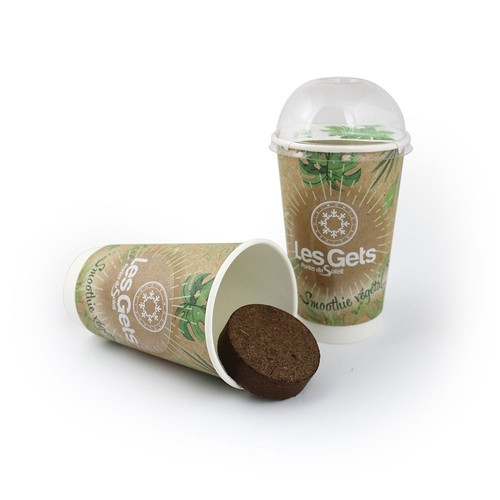 Smoothie graines - 4