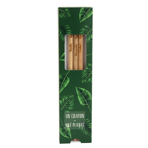 Coffret 3 crayons à graines couleur - 7