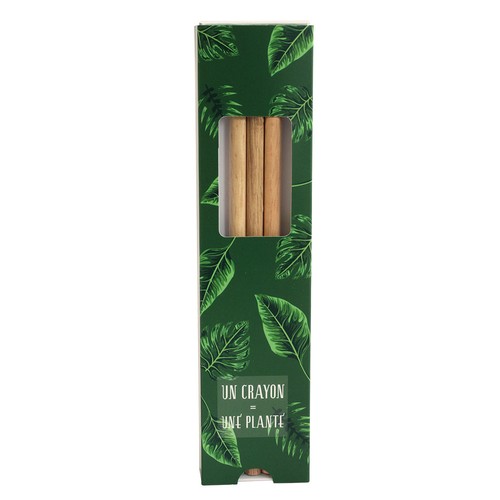 Coffret 3 crayons à graines couleur - 8