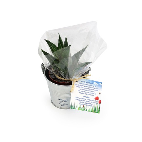 Plante pot zinc Ø7 cm