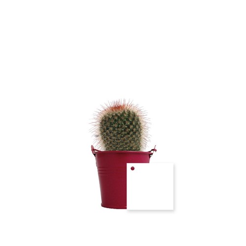 Plante pot zinc Ø7 cm
