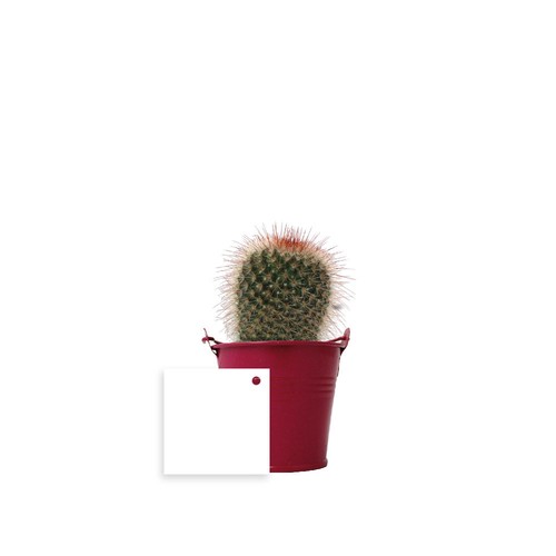 Plante pot zinc Ø7 cm