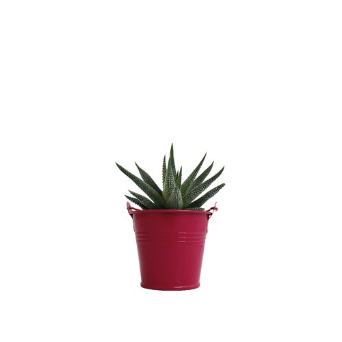 Plante pot zinc Ø7 cm