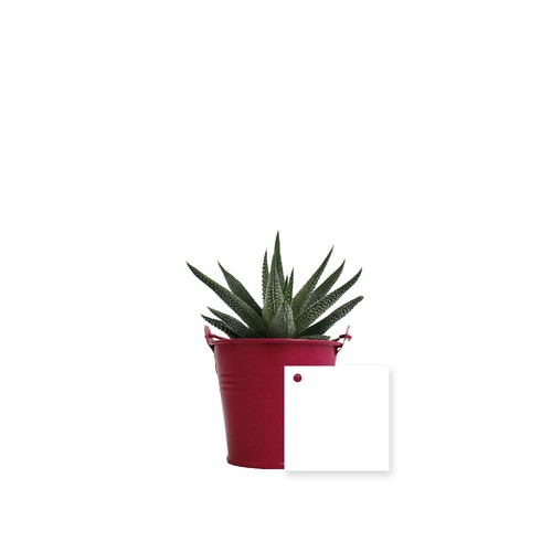 Plante pot zinc Ø7 cm