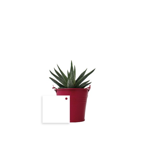 Plante pot zinc Ø7 cm