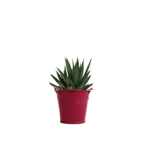 Plante pot zinc Ø7 cm