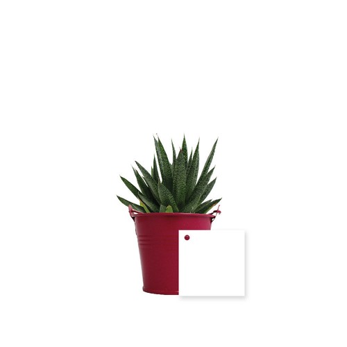 Plante pot zinc Ø7 cm