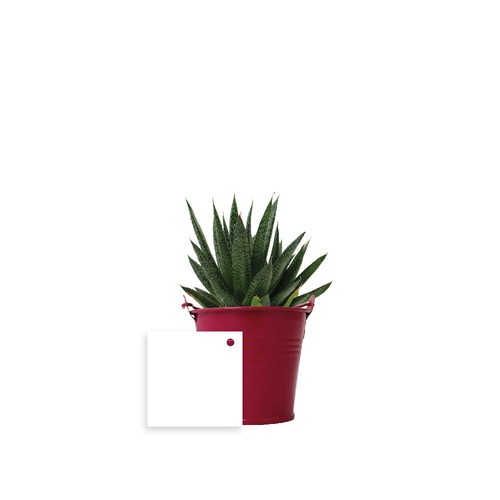 Plante pot zinc Ø7 cm