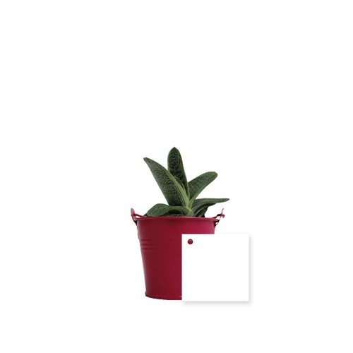 Plante pot zinc Ø7 cm