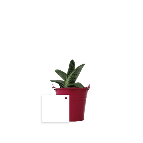 Plante pot zinc Ø7 cm