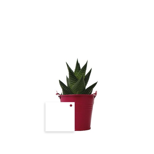 Plante pot zinc Ø7 cm