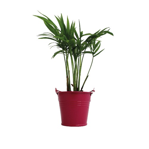 Plante pot zinc Ø7 cm