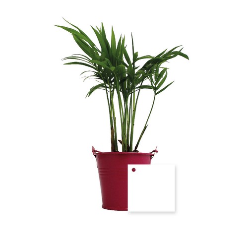 Plante pot zinc Ø7 cm