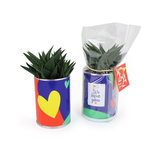 Canette plante all over - 2