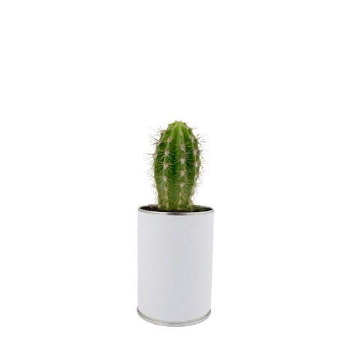 Canette plante all over