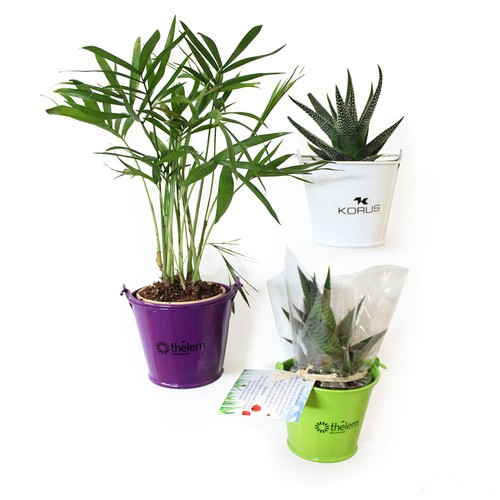 Plante pot zinc aimanté - 2