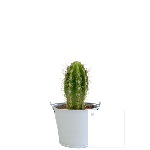 Plante pot zinc aimanté