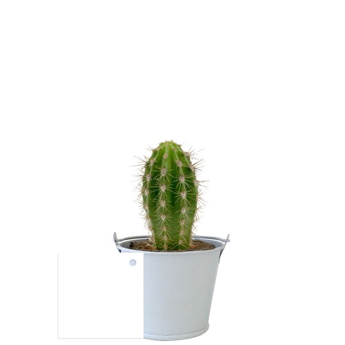 Plante pot zinc aimanté