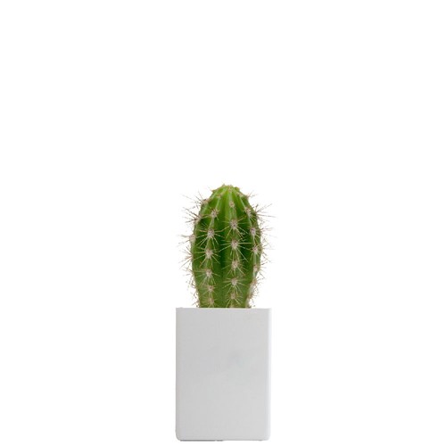 Pot ordi