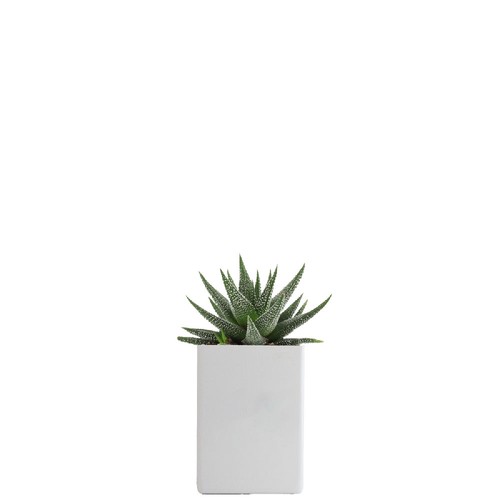 Pot ordi