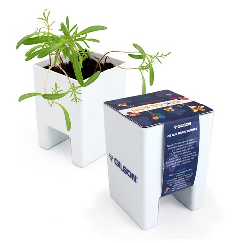 Pot ordi graines - 2