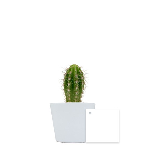 Plante pot céramique Ø7 cm