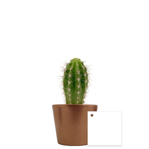 Plante pot céramique Ø7 cm