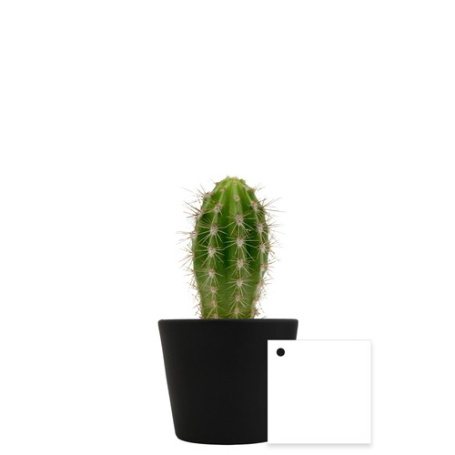 Plante pot céramique Ø7 cm
