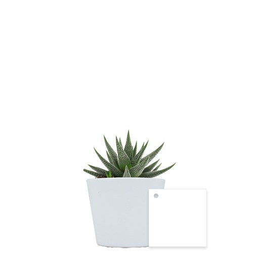 Plante pot céramique Ø7 cm