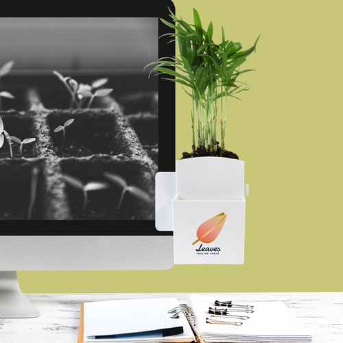 Végétal box plante - 3