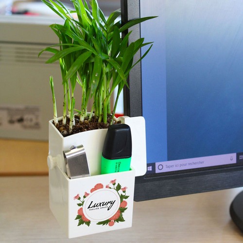 Végétal box plante