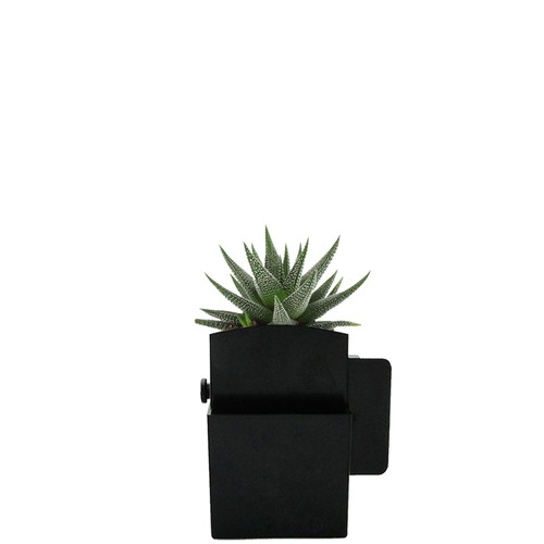 Végétal box plante