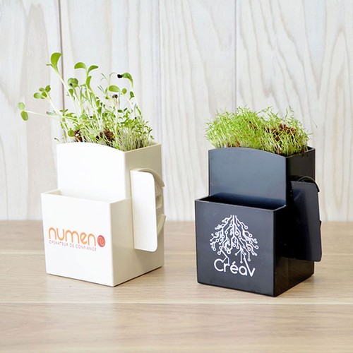 Vegetal Box graines