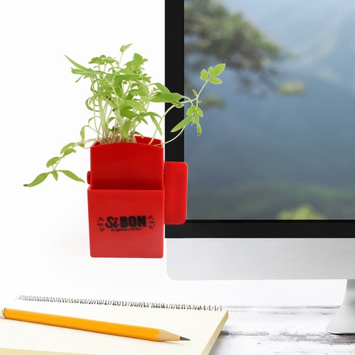 Vegetal Box graines