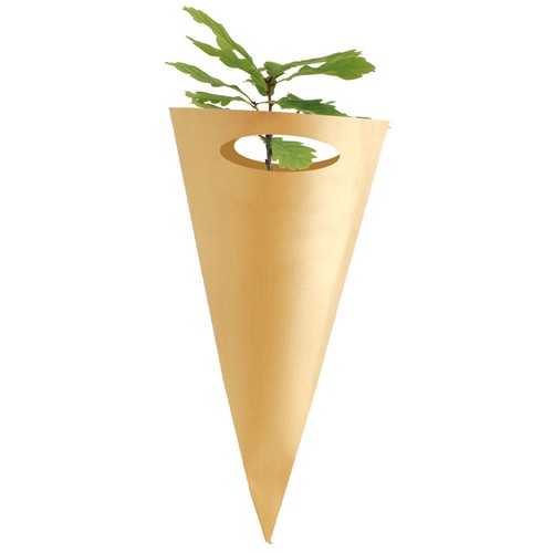 Cornet arbre - Feuillus