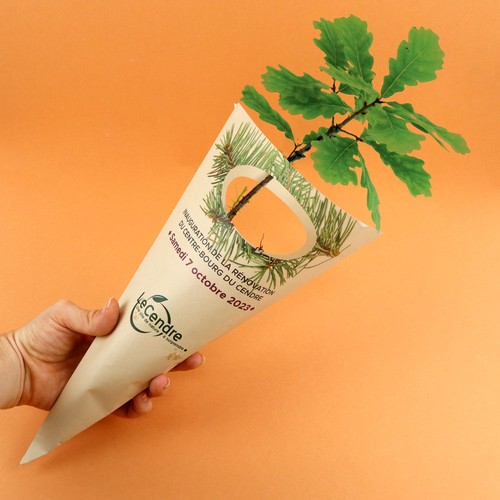 Cornet arbre - Feuillus