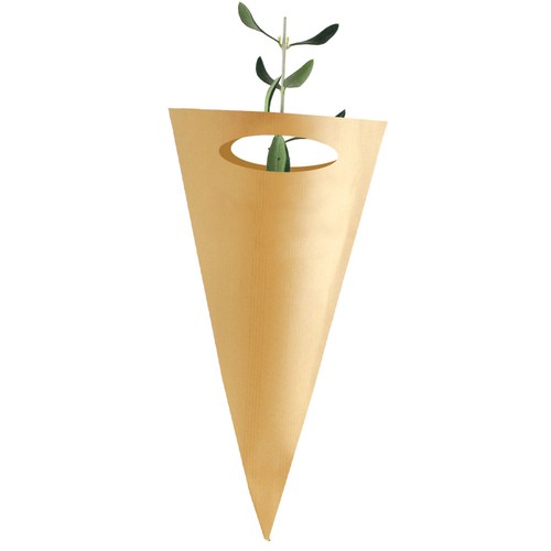 Cornet arbre - Prestiges