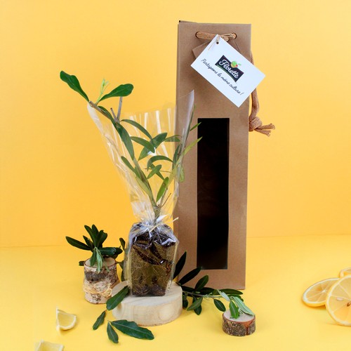 Plant d'arbre sac kraft - Prestiges